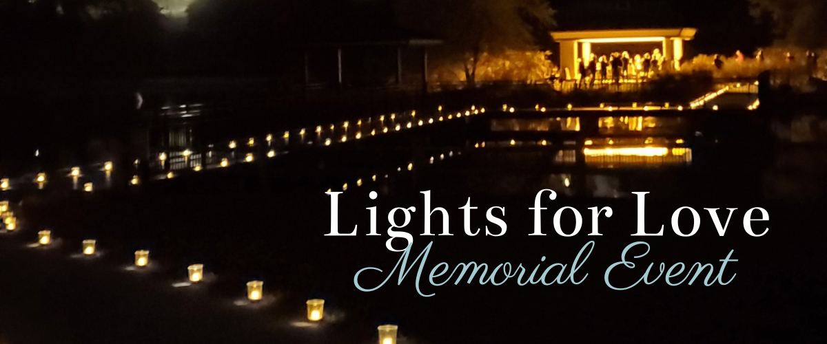 Cover-Image-Lights-for-Love